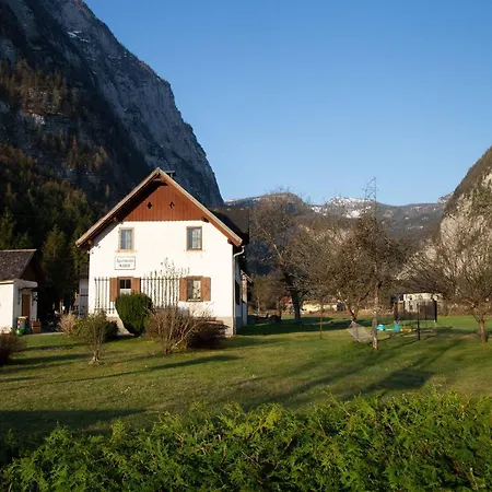 Apartment Marie A